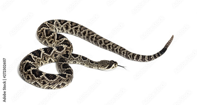 image to crop