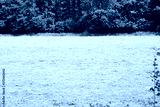 preview cold