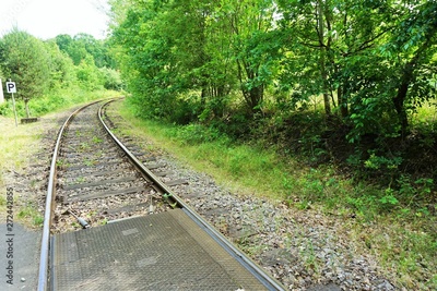 image to crop