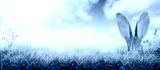 preview cold