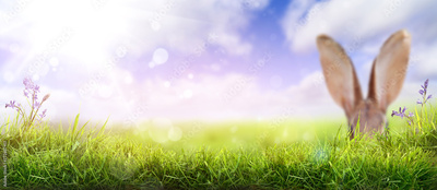 image to crop