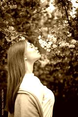 preview sephia