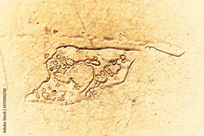image to crop