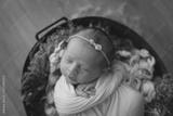 preview bw
