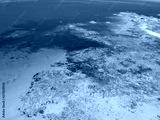 preview cold