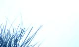 preview cold