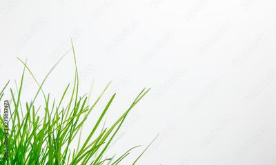 image to crop