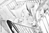 preview bw
