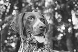 preview bw