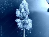 preview cold