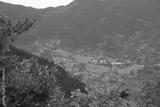preview bw