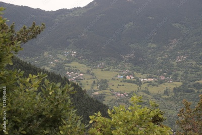 image to crop