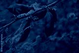preview cold