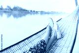 preview cold