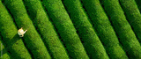 preview original