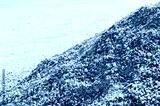preview cold