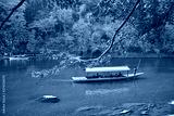 preview cold