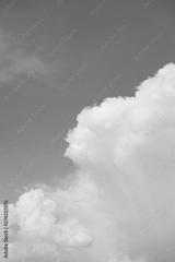 preview bw