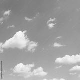 preview bw