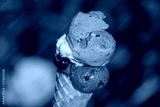 preview cold