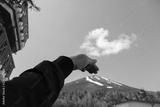 preview bw