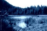 preview cold
