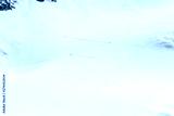 preview cold