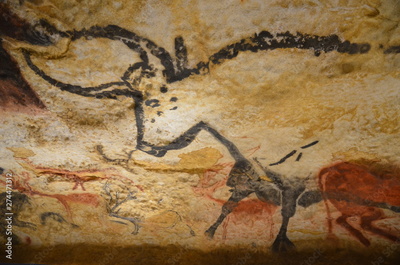 image to crop