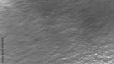 preview bw