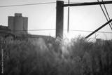 preview bw