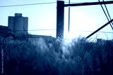 preview cold
