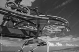 preview bw