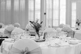 preview bw