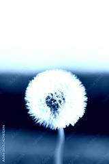 preview cold