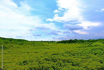 image to crop