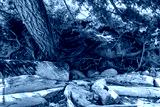 preview cold