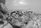 preview bw