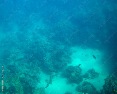 image to crop