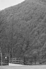 preview bw
