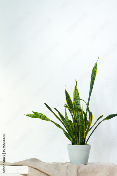 image to crop