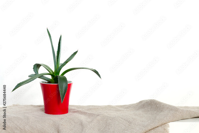 image to crop