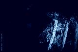 preview cold
