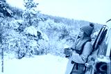 preview cold
