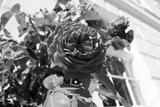 preview bw