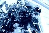 preview cold