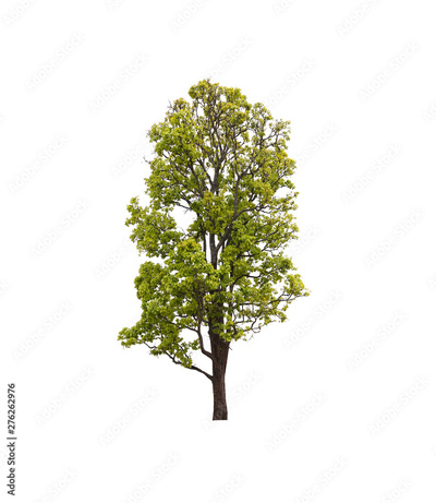image to crop