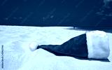 preview cold