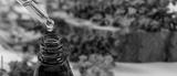 preview bw