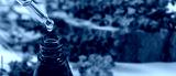 preview cold