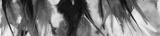 preview bw